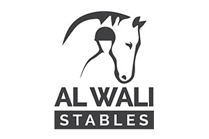 alwali logo - Meta Studio