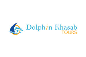 dolphin logo - Meta Studio